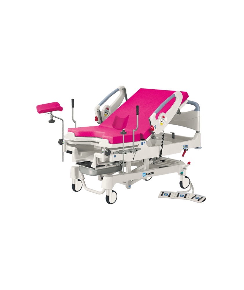 Delivery bed Famed LM-01.4